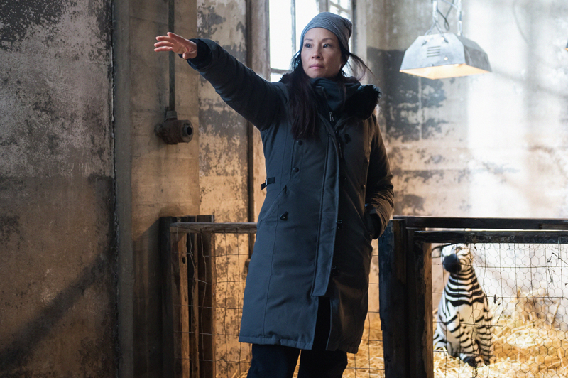  Lucy Liu directed episode “The Female of the Species” which involved filming scenes at the Bronx Zoo and shooting with live zebras.