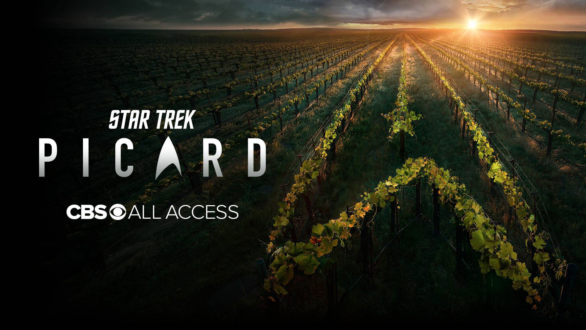 Sir Patrick Stewart Reprises Iconic Star Trek: The Next Generation Role ...