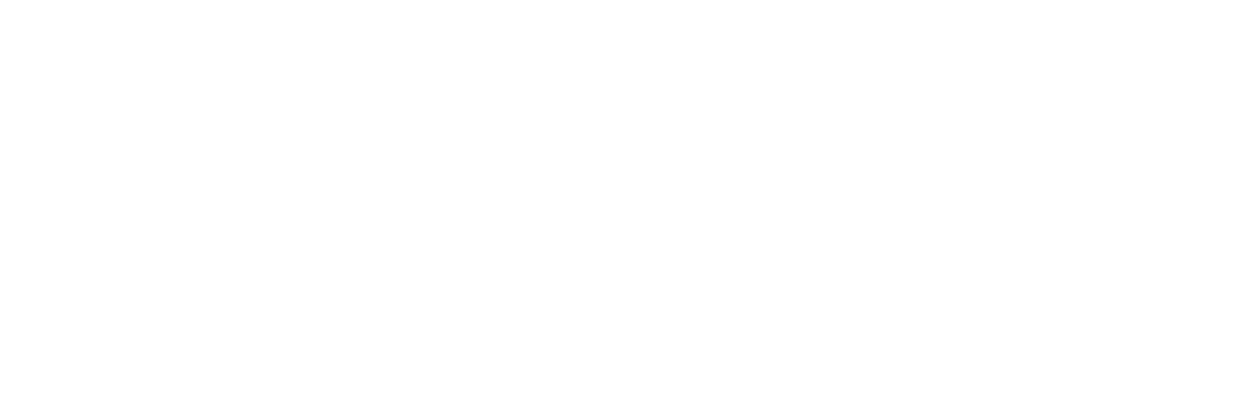 The Net