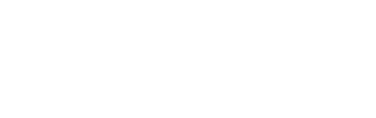 Skateboard Nation