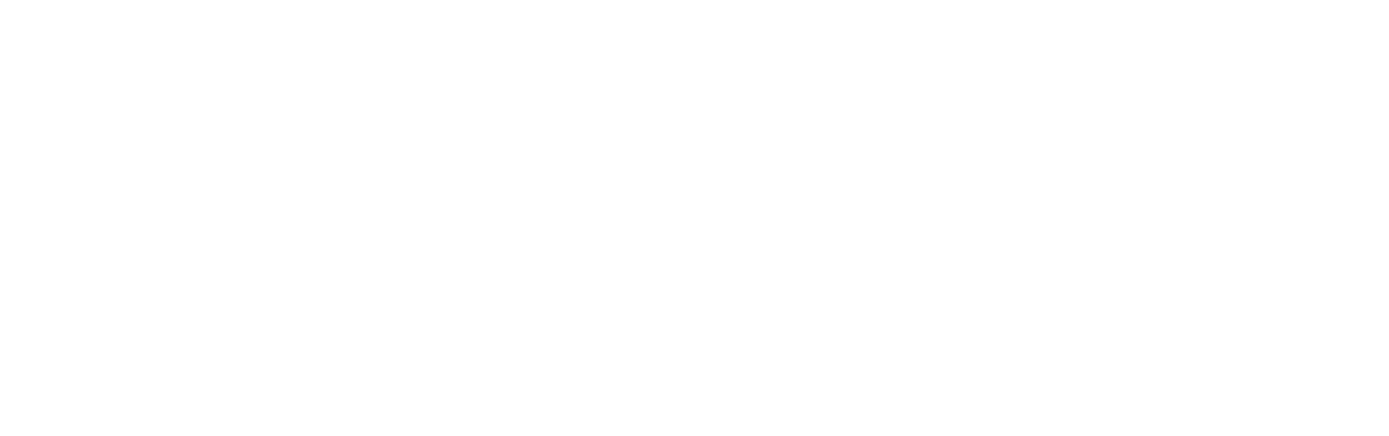 Pocahontas: Beyond the Myth