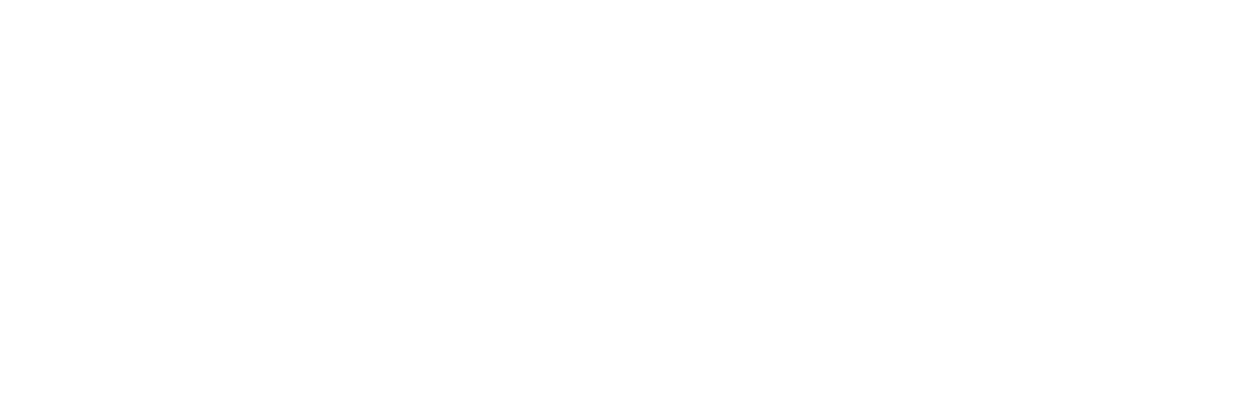 Run & Gun
