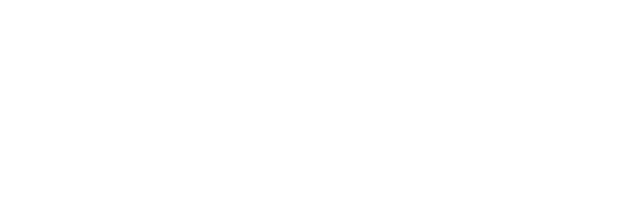 The Untouchables