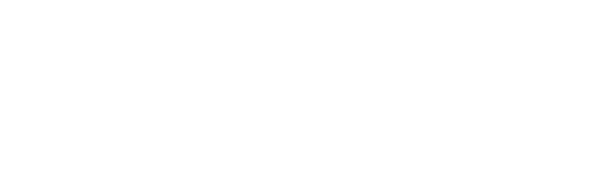 The Babysitter