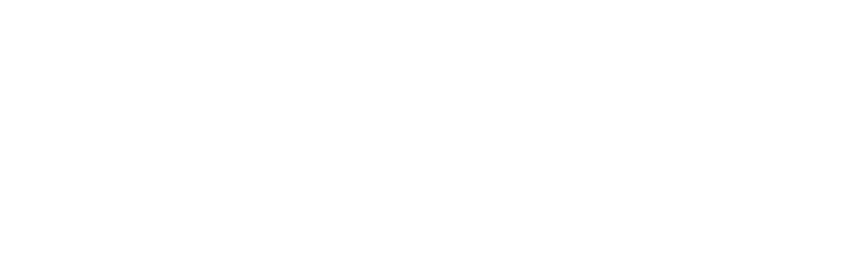 Downhill Racer