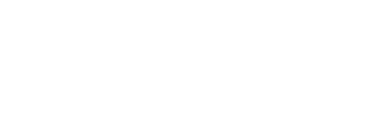 The Terminator