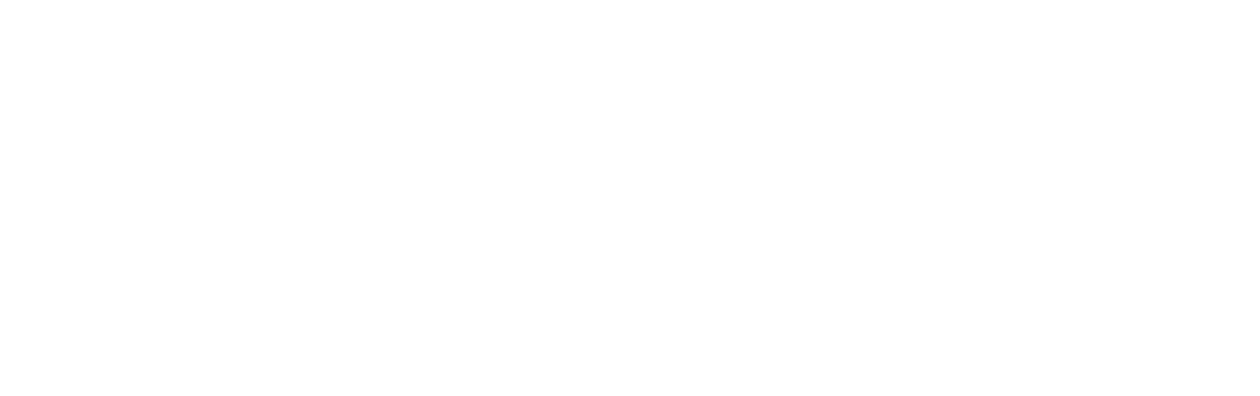 Amazing Pigs