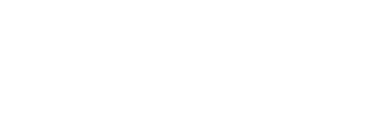 Madame X