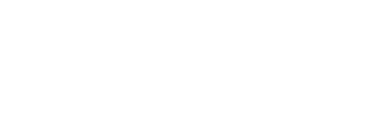 World's Smallest Planes