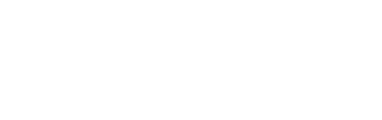 Outlaw Posse
