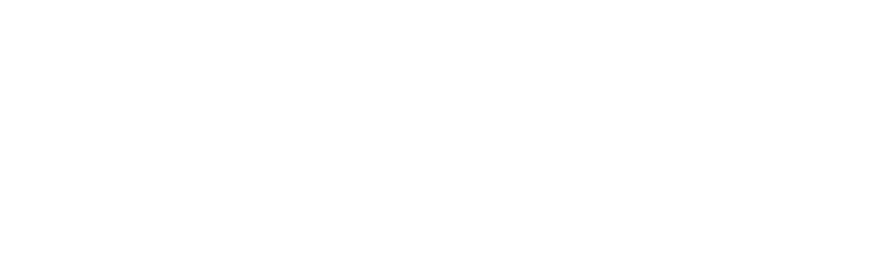Bird vs. Plane: Miracle on the Hudson