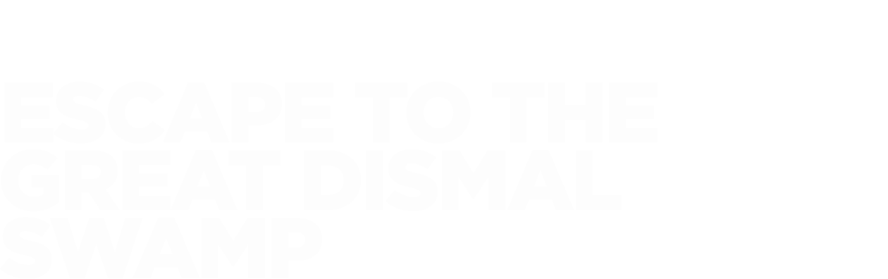 Escape to the Great Dismal Swamp