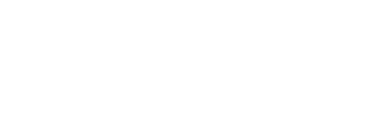The Last Buffalo