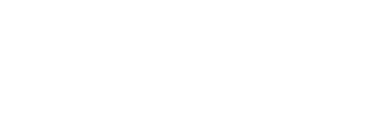 My Big Bollywood Wedding