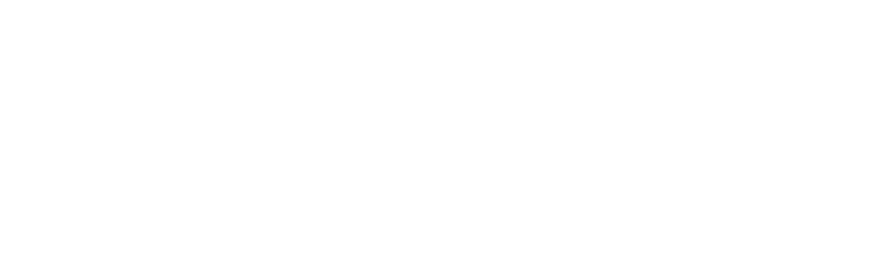 SEAL Dog