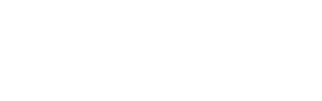 The Kite Runner