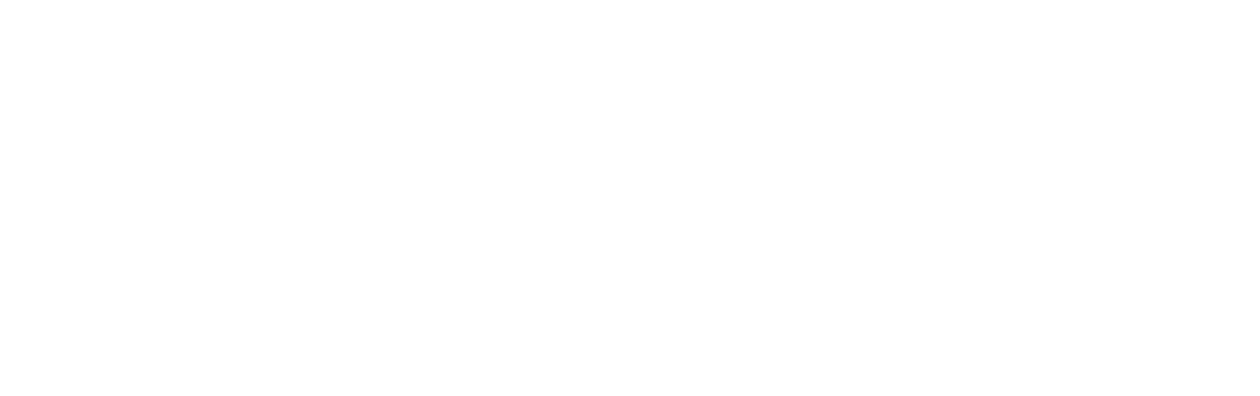 Crash of the Concorde