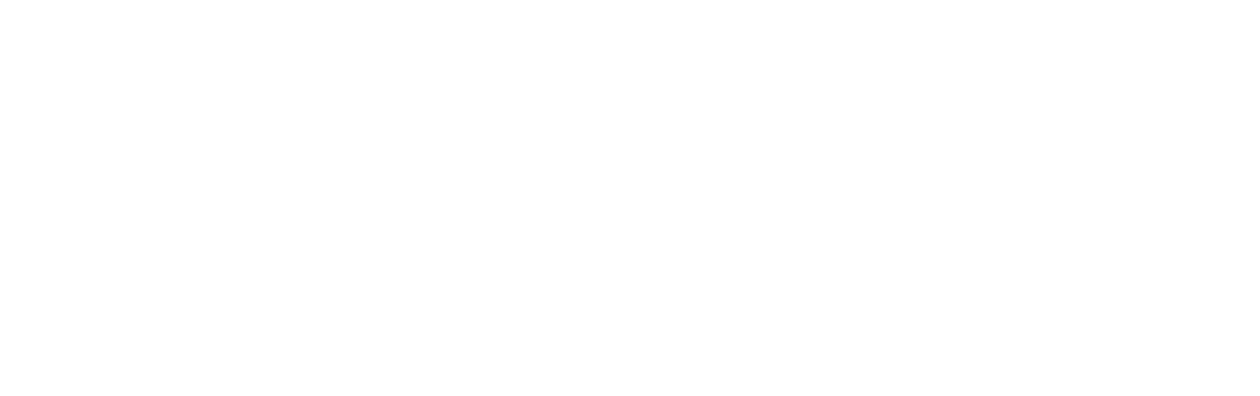 The Commuter
