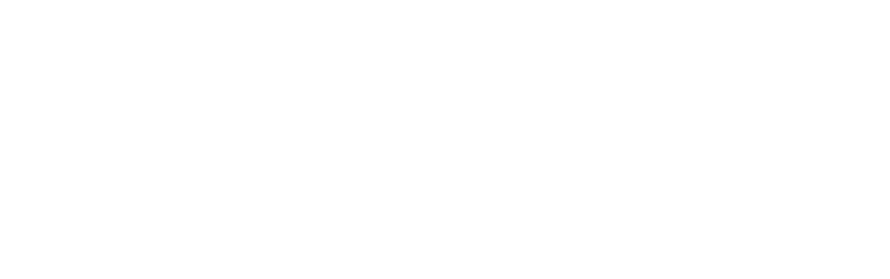 Flight of the Intruder