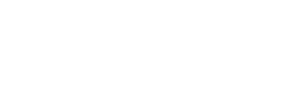 The Musician