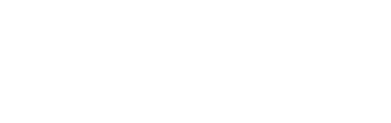 The Stepford Wives