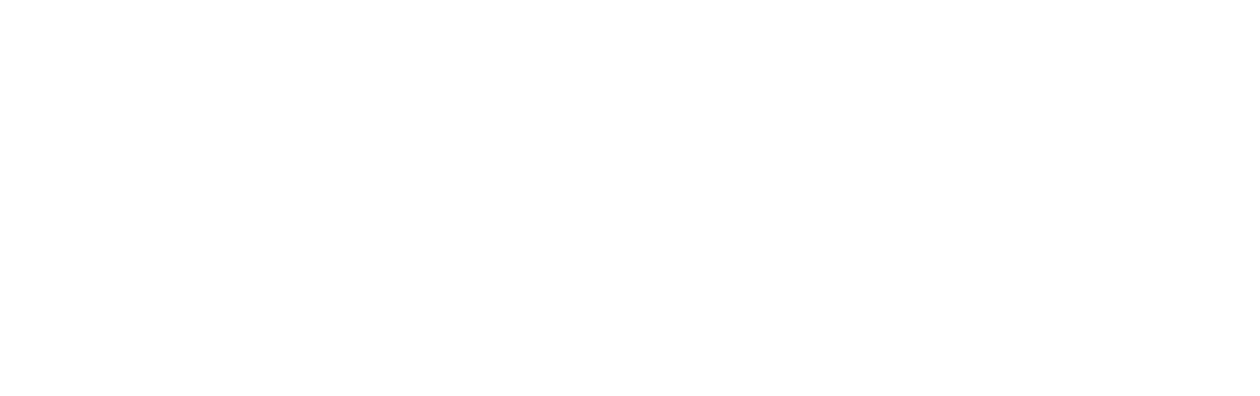 The Wolf Of Wall Street