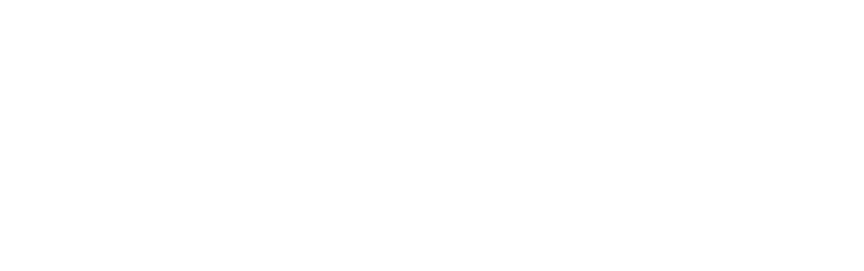 The First Wives Club