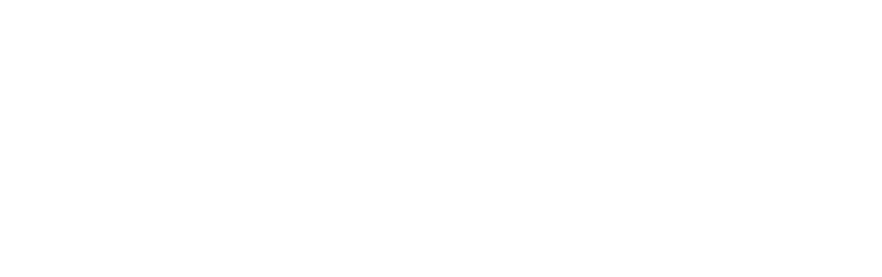 The Visitor (2022)