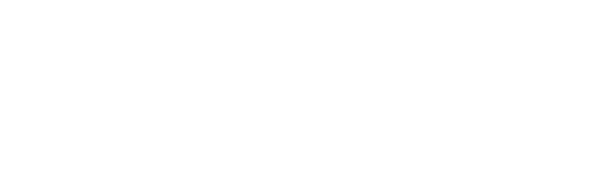 A Soldier's Story
