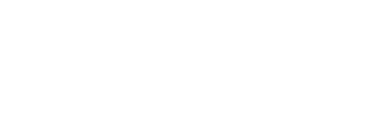 The Brady Bunch Movie