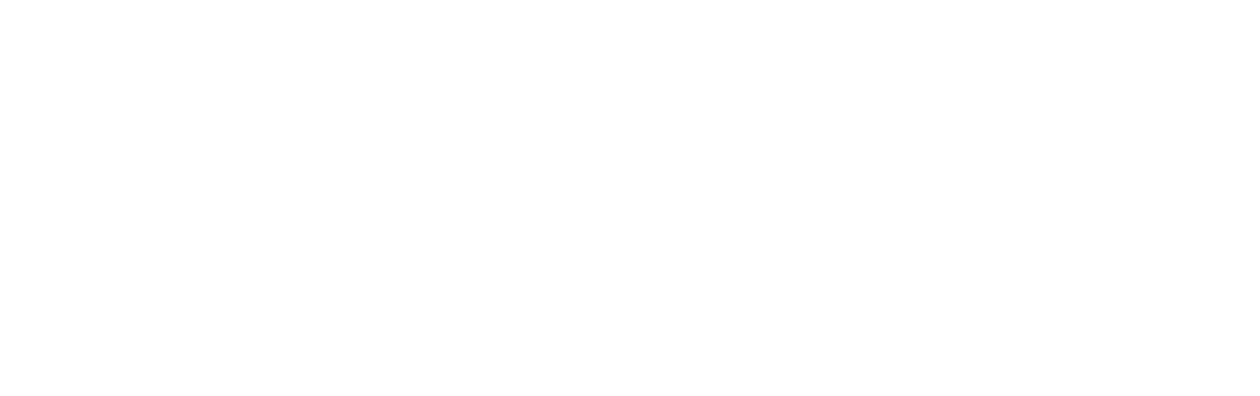 The Survivalist