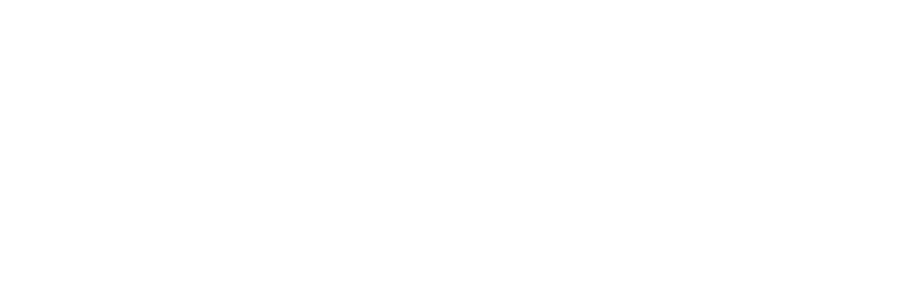 The Other Boleyn Girl