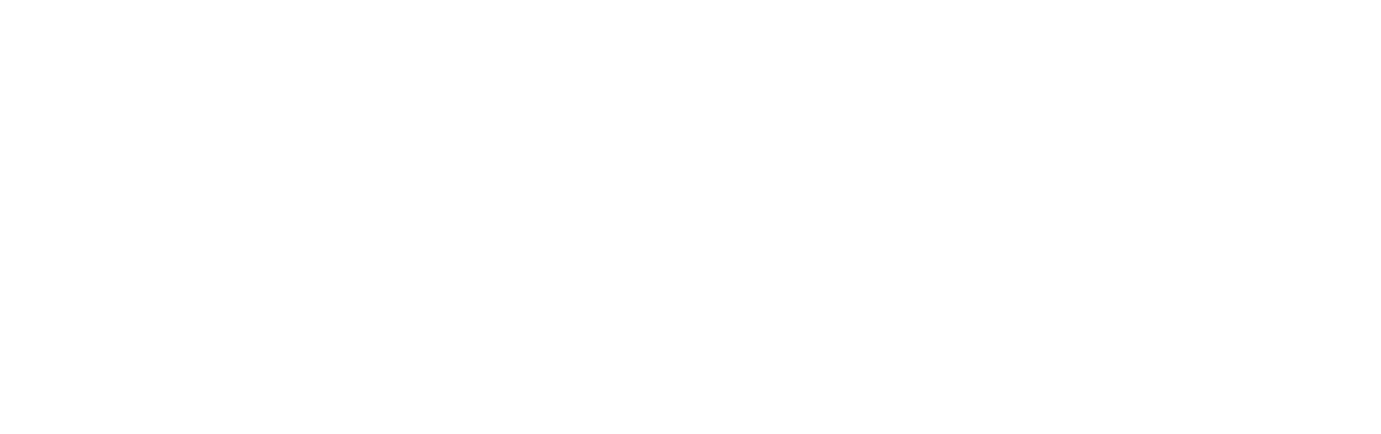 NYC Point Gods