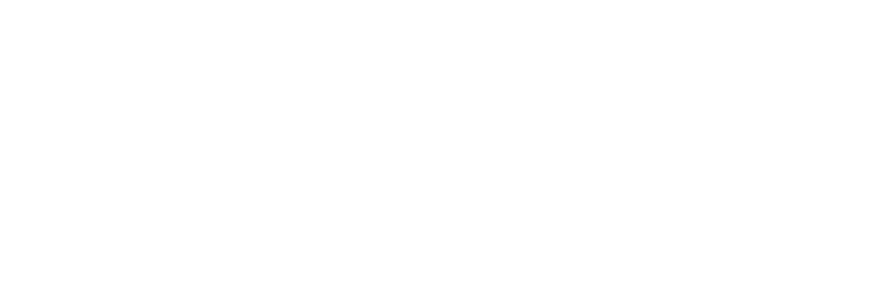 The Peacemaker