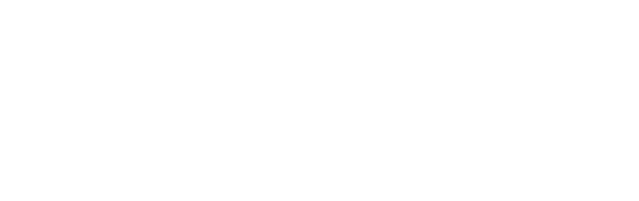 The Expendables