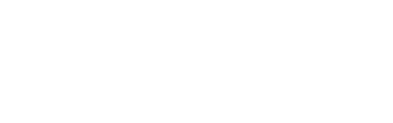 Ping Pong Summer
