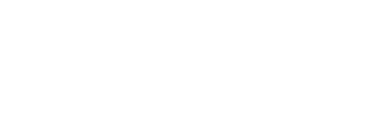 Coal Miner's Daughter A Celebration of The Life and Music of Loretta Lynn
