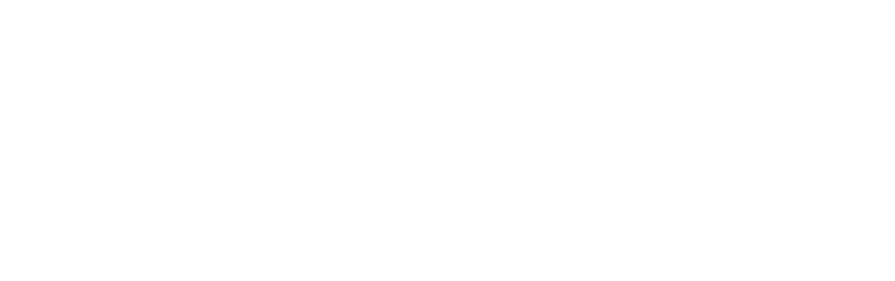 The Wedding Planner