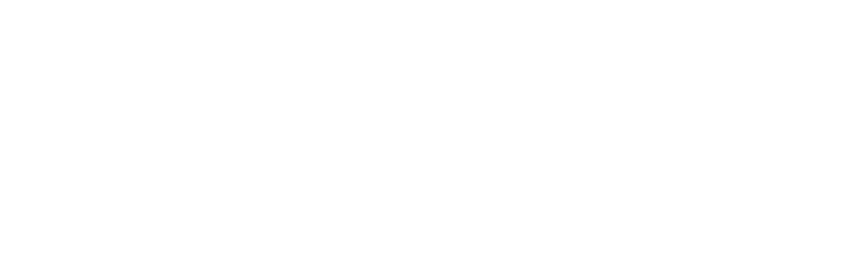 The Kid