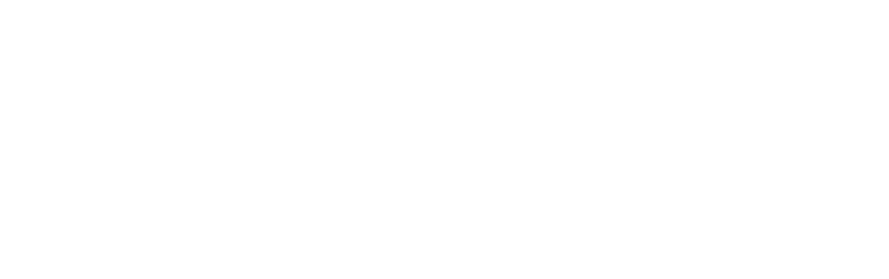 The First Purge