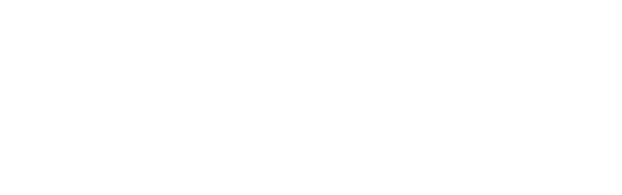 True Grit (2010)