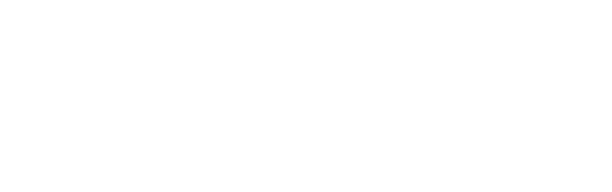 The Other Guys