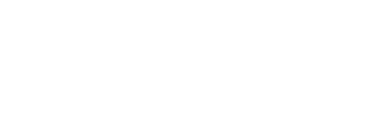 The Inspection