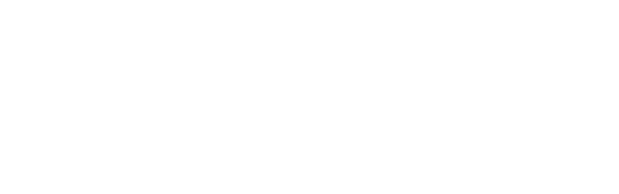 Drunk Wedding