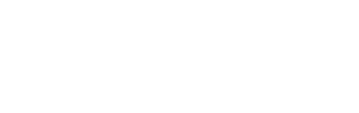 Project Almanac