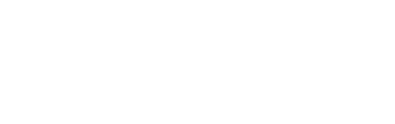 Pet Sematary II