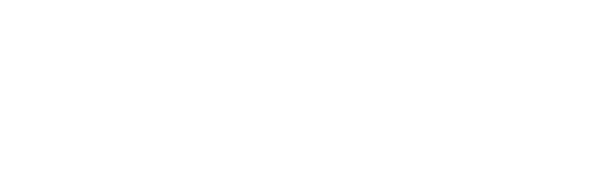 The Spiderwick Chronicles