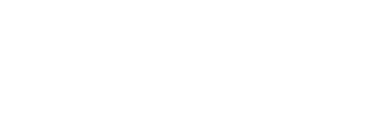 Flypaper