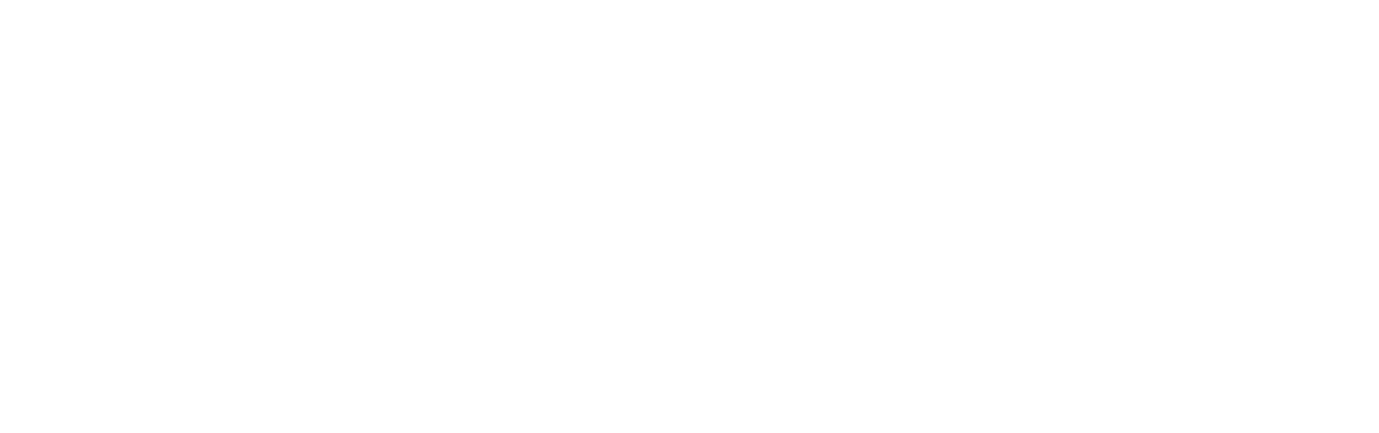 The Other Woman