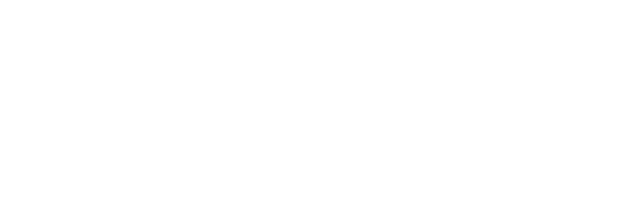 Irena's Vow